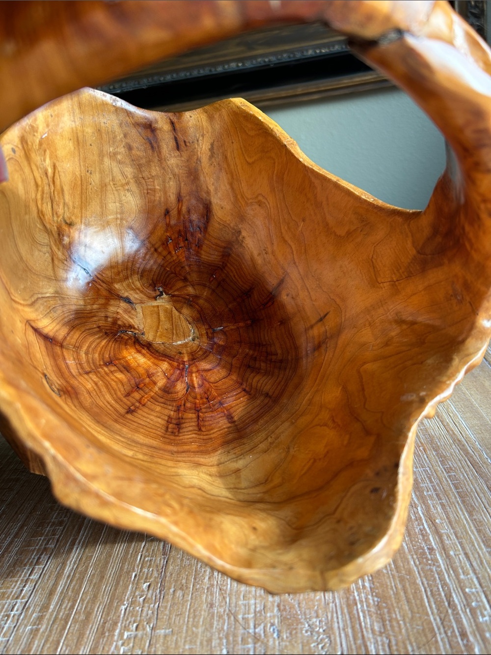 Hand Carved Burl Wood Basket - Rustic Decor Natural Foreging Whimsical Basket - Picture 8 of 16